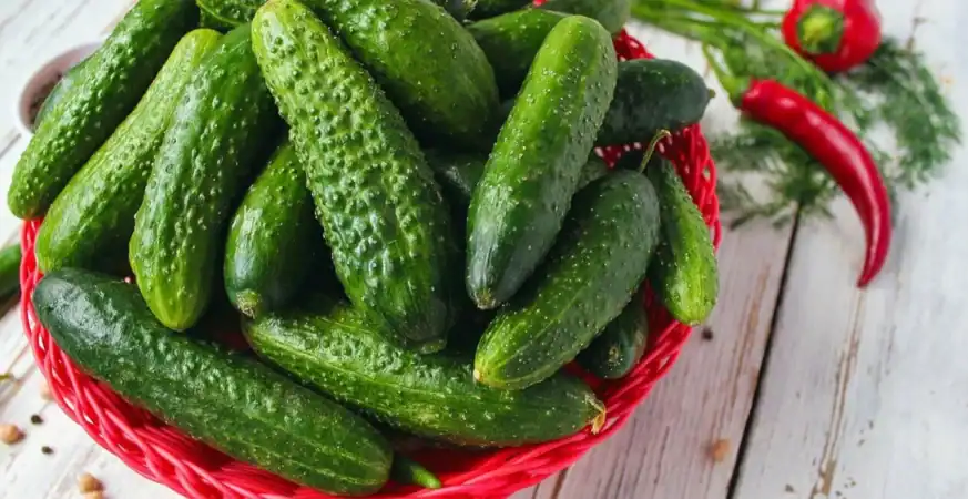 الخيار مش بس للسلطة.. 5 أسباب تجعله صديق صحتك الدائم
