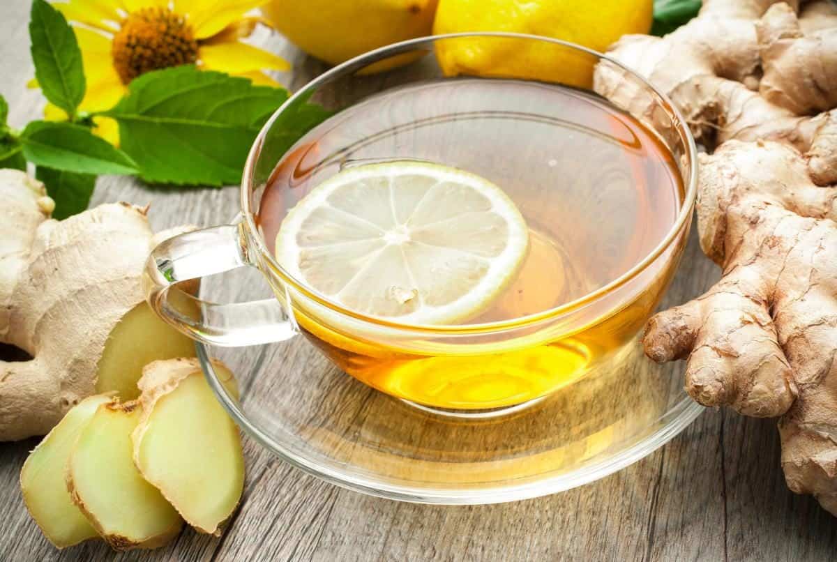 4 فوائد صحية لشرب الشاي الأخضر بالليمون.. مشروب صباحي يستحق التجربة
