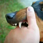قبل مهرجان الجونة 2026.. مصممة أزياء ترصد أسوأ إطلالات دورة 2025
