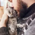 العسل الحار يغزو رفوف المتاجر وسط مخاوف من نسخ رديئة